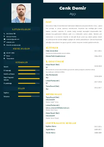 cv indir